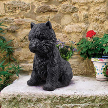 Load image into Gallery viewer, 77188-BK - White Terrier Flower Planter Black Plant Pot
