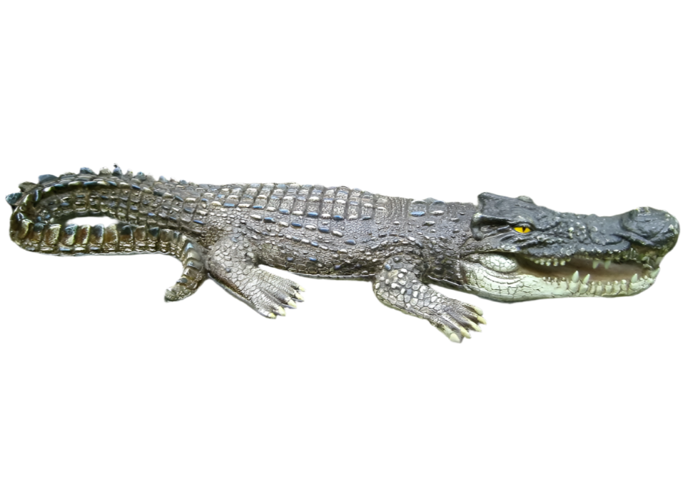 Crocodile Large Floater