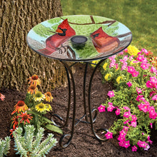 Load image into Gallery viewer, 78415-I - SOLAR LED FLORAL GLASS BIRD BATH WITH STAND - CARDINAL
