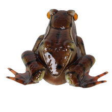 Load image into Gallery viewer, Metal Brown American Bullfrog Statue
