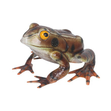 Load image into Gallery viewer, Metal Brown American Bullfrog Statue
