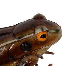 Load image into Gallery viewer, Metal Brown American Bullfrog Statue
