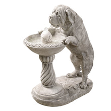Load image into Gallery viewer, Dog Bird Bath Fountain
