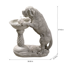 Load image into Gallery viewer, Dog Bird Bath Fountain
