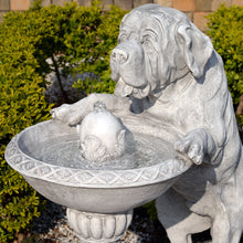 Load image into Gallery viewer, Dog Bird Bath Fountain
