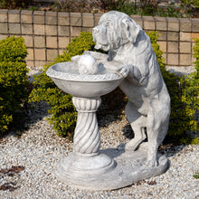 Load image into Gallery viewer, Dog Bird Bath Fountain
