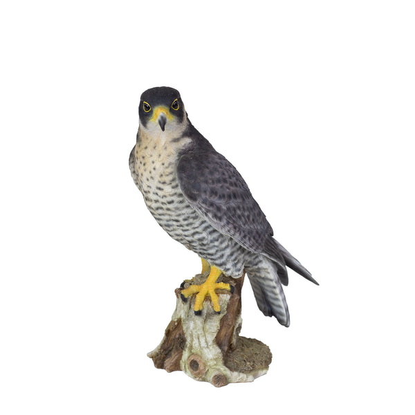 SoReal Brown Peregrine Falcon on branch | Handcrafted Decorative Bird Statue for Home & Garden | Premium Polyresin, Weather-Resistant Indoor/Outdoor Decor
