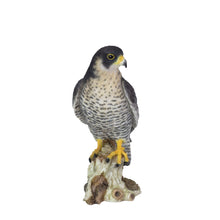 Load image into Gallery viewer, SoReal - Peregrine Falcon
