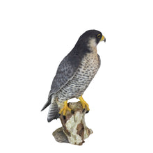 Load image into Gallery viewer, SoReal - Peregrine Falcon
