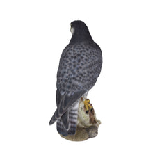 Load image into Gallery viewer, SoReal - Peregrine Falcon
