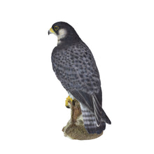 Load image into Gallery viewer, SoReal - Peregrine Falcon
