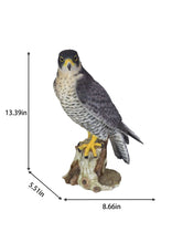 Load image into Gallery viewer, SoReal - Peregrine Falcon
