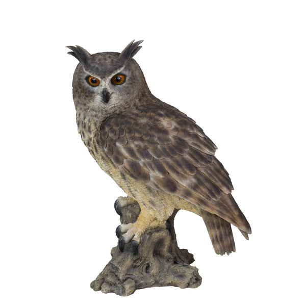 SoReal - Long Eared Owl