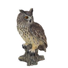 Load image into Gallery viewer, SoReal - Long Eared Owl
