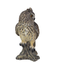 Load image into Gallery viewer, SoReal - Long Eared Owl
