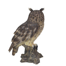 Load image into Gallery viewer, SoReal - Long Eared Owl
