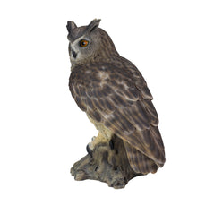 Load image into Gallery viewer, SoReal - Long Eared Owl
