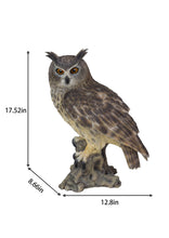 Load image into Gallery viewer, SoReal - Long Eared Owl
