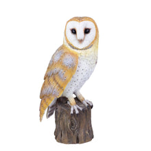 Load image into Gallery viewer, SoReal -  Barn Owl
