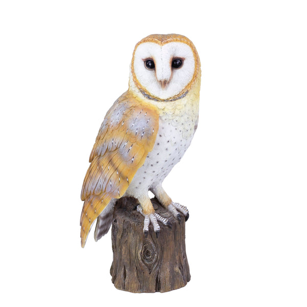 SoReal -  Barn Owl