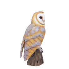 Load image into Gallery viewer, SoReal -  Barn Owl
