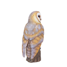 Load image into Gallery viewer, SoReal -  Barn Owl

