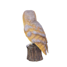 Load image into Gallery viewer, SoReal -  Barn Owl
