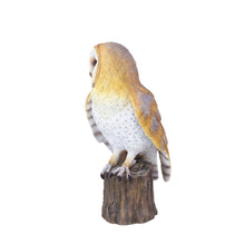 Load image into Gallery viewer, SoReal -  Barn Owl
