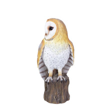 Load image into Gallery viewer, SoReal -  Barn Owl
