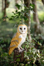 Load image into Gallery viewer, SoReal -  Barn Owl
