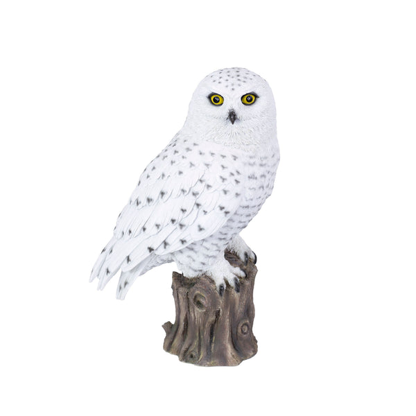 SoReal - Snowy Owl