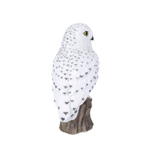 Load image into Gallery viewer, SoReal - Snowy Owl
