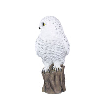 Load image into Gallery viewer, SoReal - Snowy Owl

