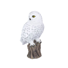 Load image into Gallery viewer, SoReal - Snowy Owl
