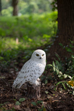 Load image into Gallery viewer, SoReal - Snowy Owl
