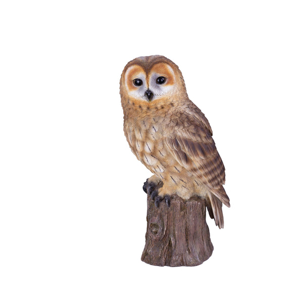 SoReal - Owl