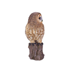 Load image into Gallery viewer, SoReal - Owl

