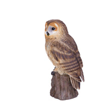 Load image into Gallery viewer, SoReal - Owl
