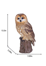 Load image into Gallery viewer, SoReal - Owl
