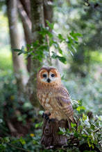 Load image into Gallery viewer, SoReal - Owl
