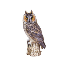 Load image into Gallery viewer, SoReal - Long Eared Owl
