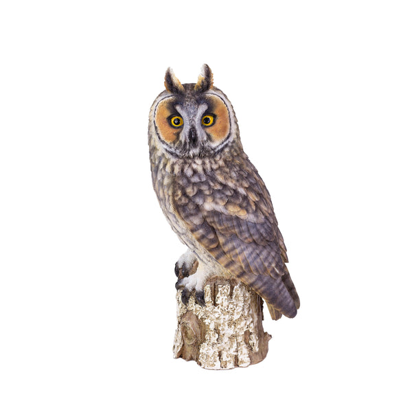 SoReal - Long Eared Owl
