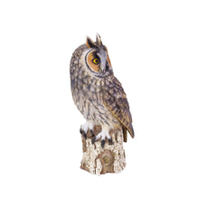 Load image into Gallery viewer, SoReal - Long Eared Owl
