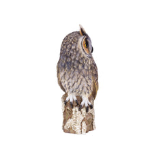 Load image into Gallery viewer, SoReal - Long Eared Owl
