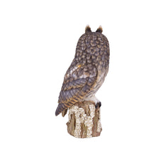 Load image into Gallery viewer, SoReal - Long Eared Owl
