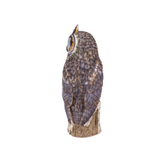 Load image into Gallery viewer, SoReal - Long Eared Owl
