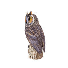 Load image into Gallery viewer, SoReal - Long Eared Owl
