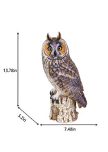 Load image into Gallery viewer, SoReal - Long Eared Owl
