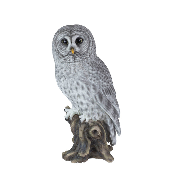 SoReal- Tawny Owl