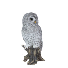 Load image into Gallery viewer, SoReal- Tawny Owl
